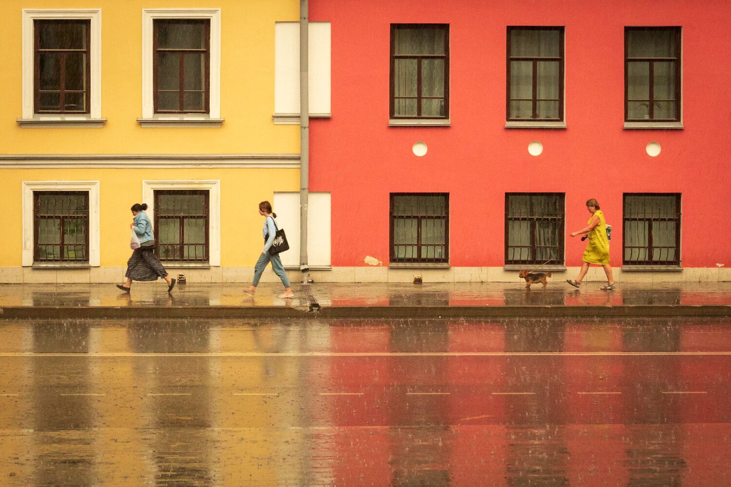 Photo #8933614