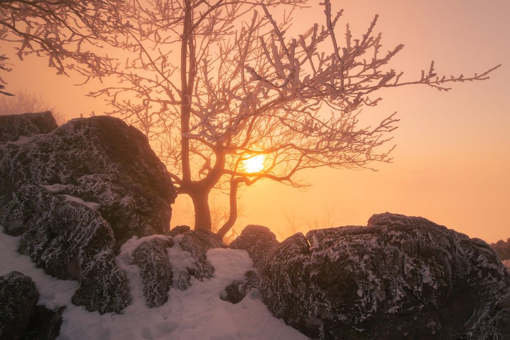 Photograph by Lukas Kulla