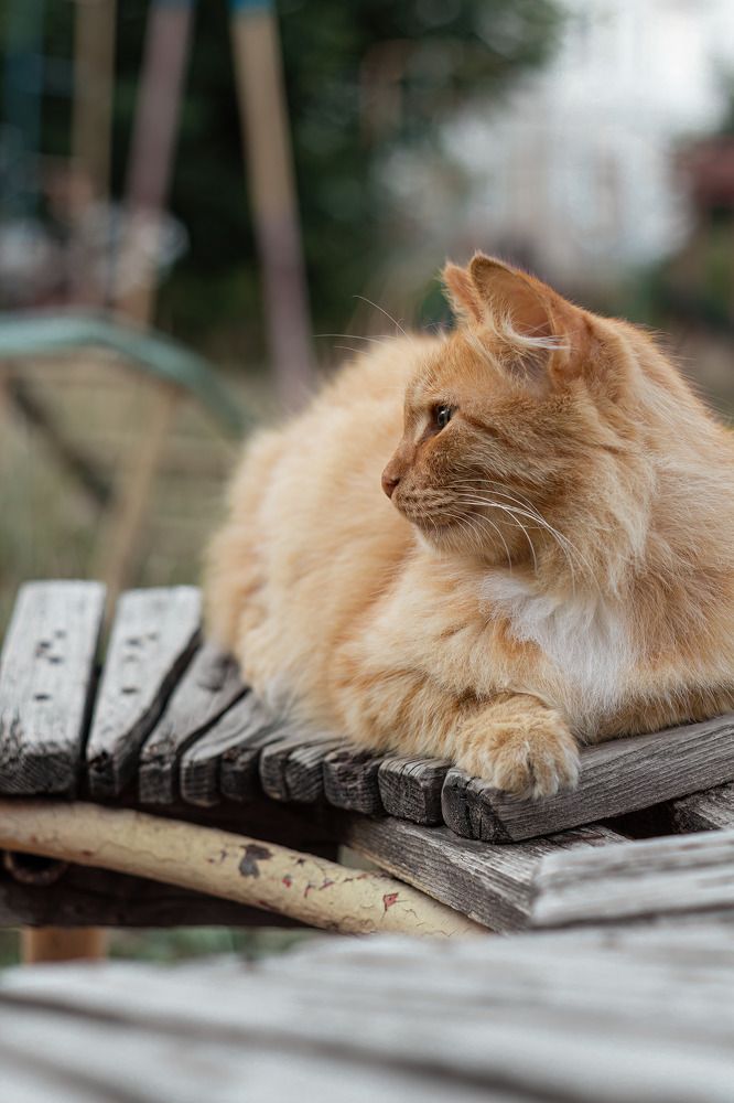 Photograph by Дмитрий Лекомцев