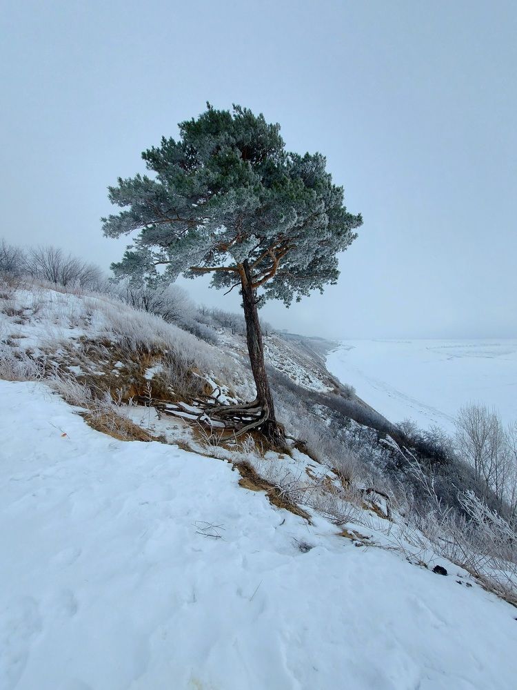 Почти белая зима.