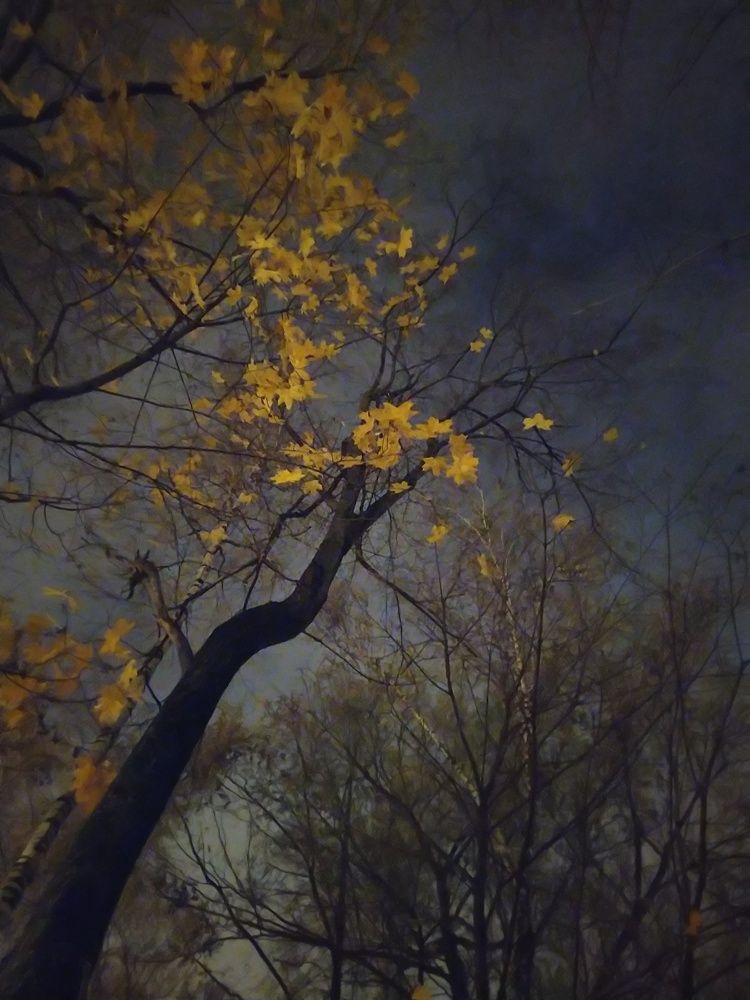 Сумерки осени