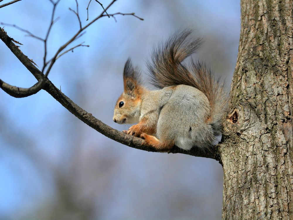 Photograph by Татьяна Львова