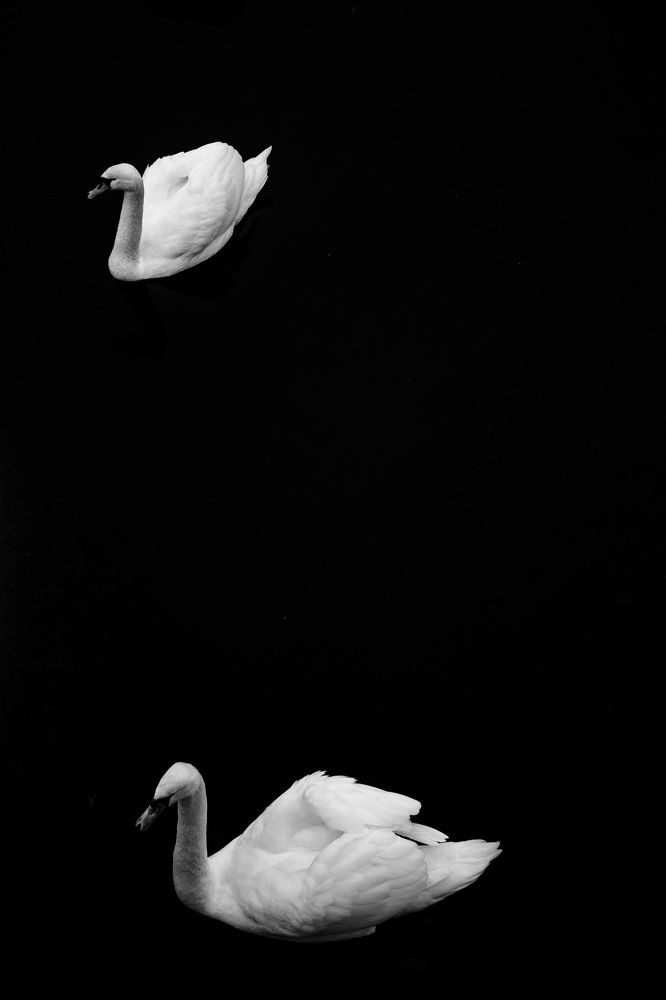 Photograph by Nika Prokopenko