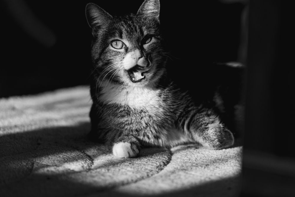 Photograph by Иван Новиков