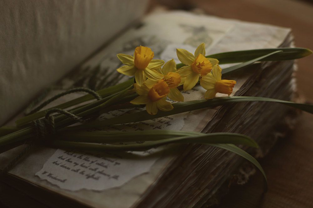 Photograph by Ирина Столбовая