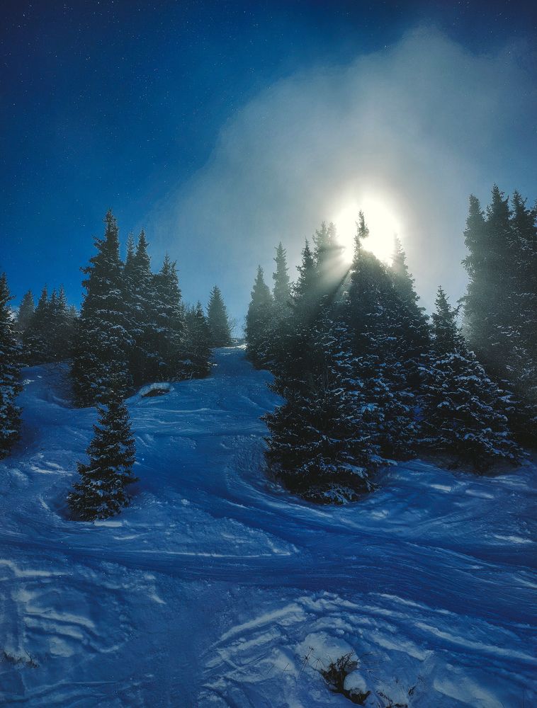 Photograph by Родионова Ксения