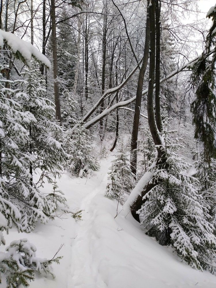 Photograph by Анастасия Мукоида