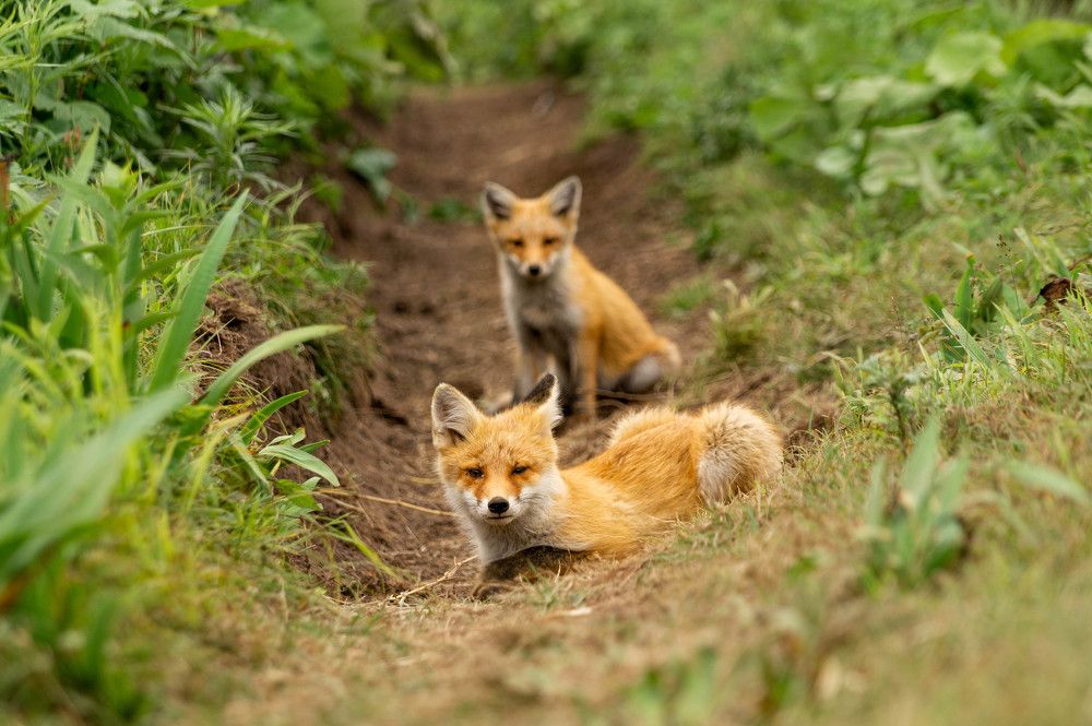 Photograph by Анастасия Мотовилова