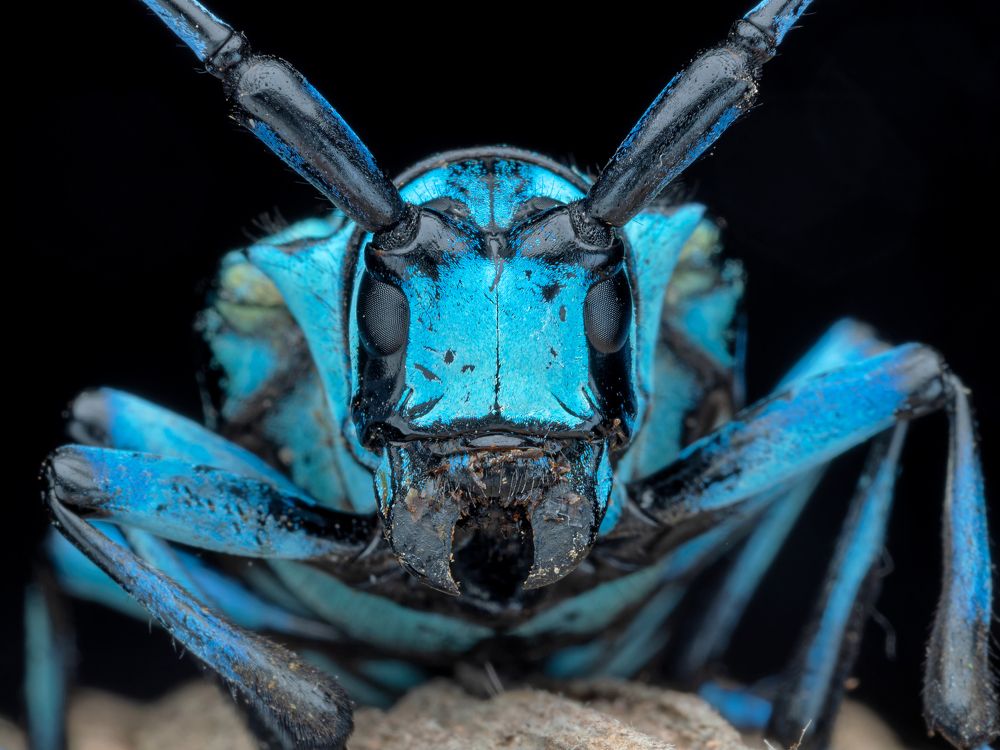 Photograph by KENNY FOONG