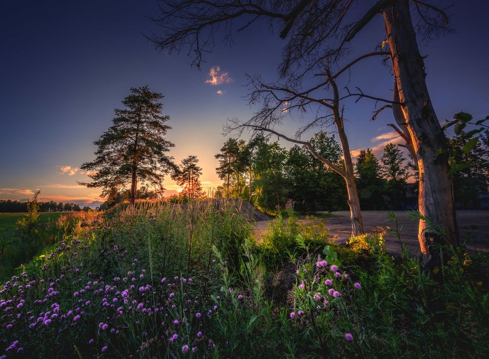 Photograph by Evgeny Lutsko