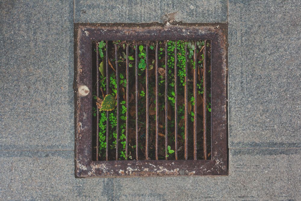 Photograph by Дмитрий Лекомцев