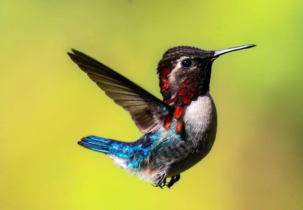 Photograph by Frank cobo blanco