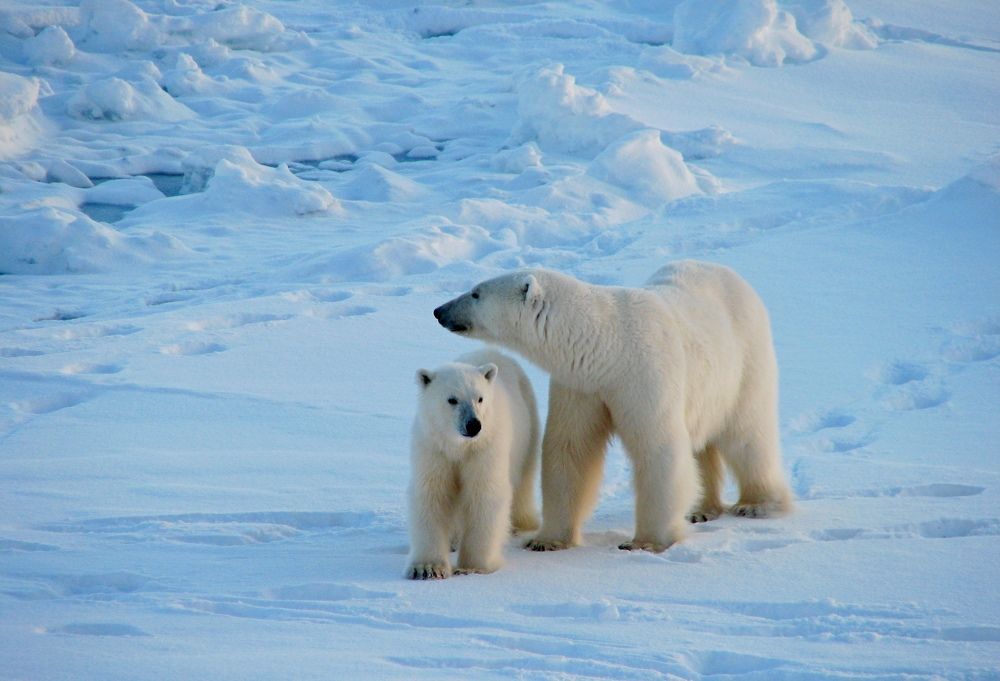 Photograph by ИГОРЬ МЕЛЬНИКОВ