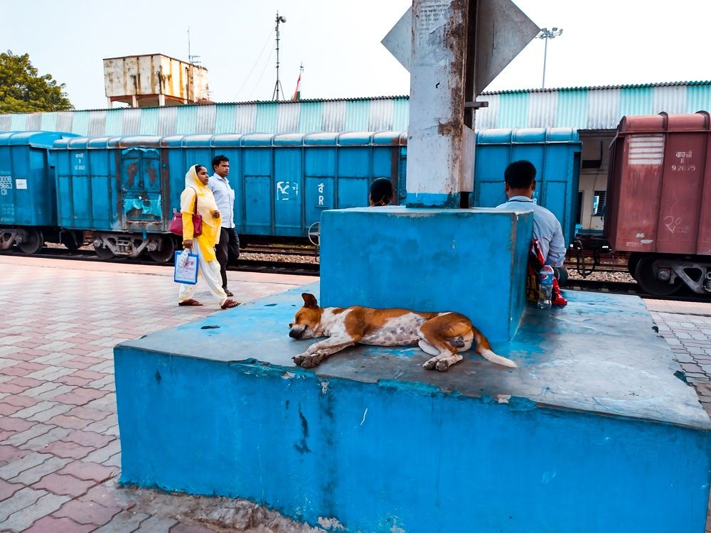 Фотография автора Subhankar Sarkar