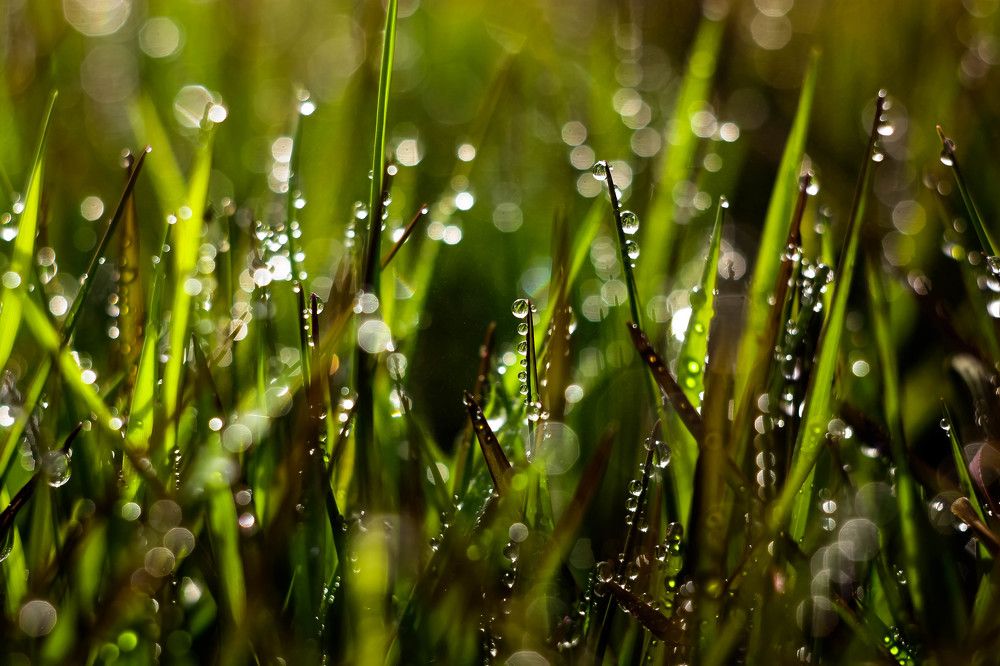 Photograph by Consuelo Sand