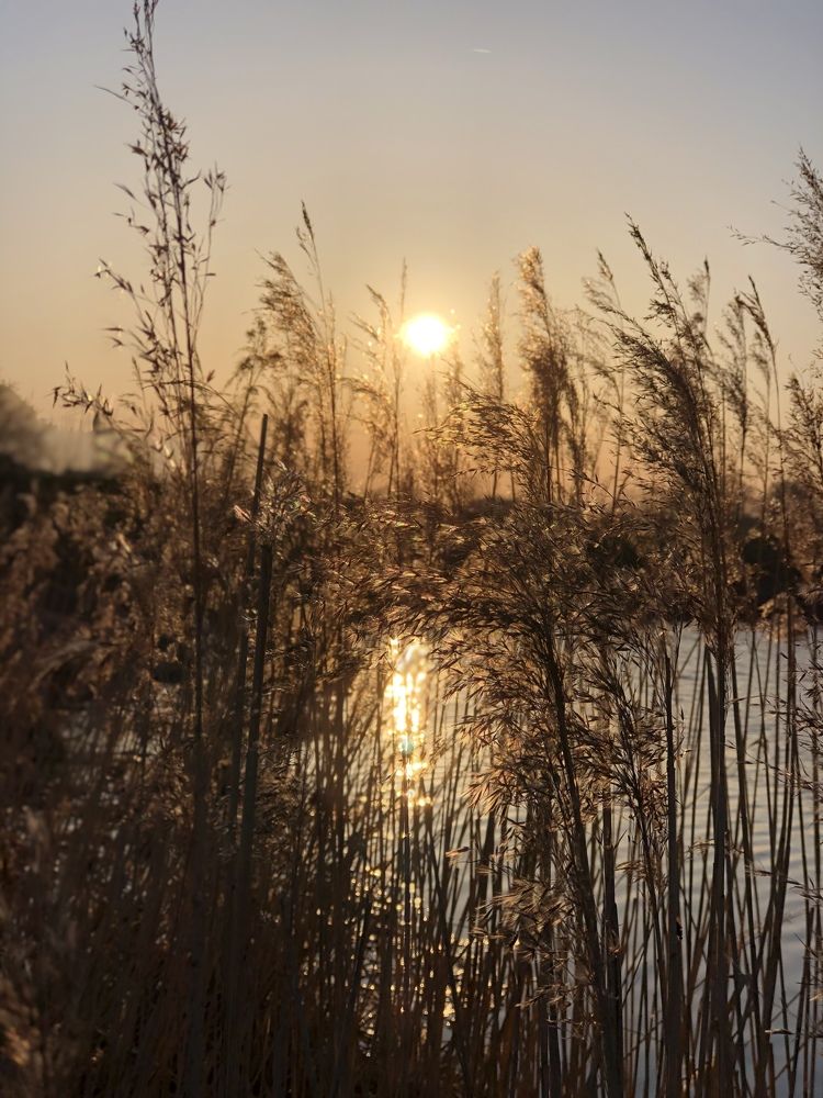 Photograph by Лариса Акинчиц
