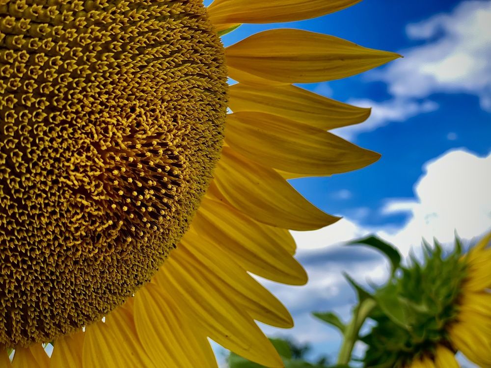 Photograph by Marchenkov Sergey