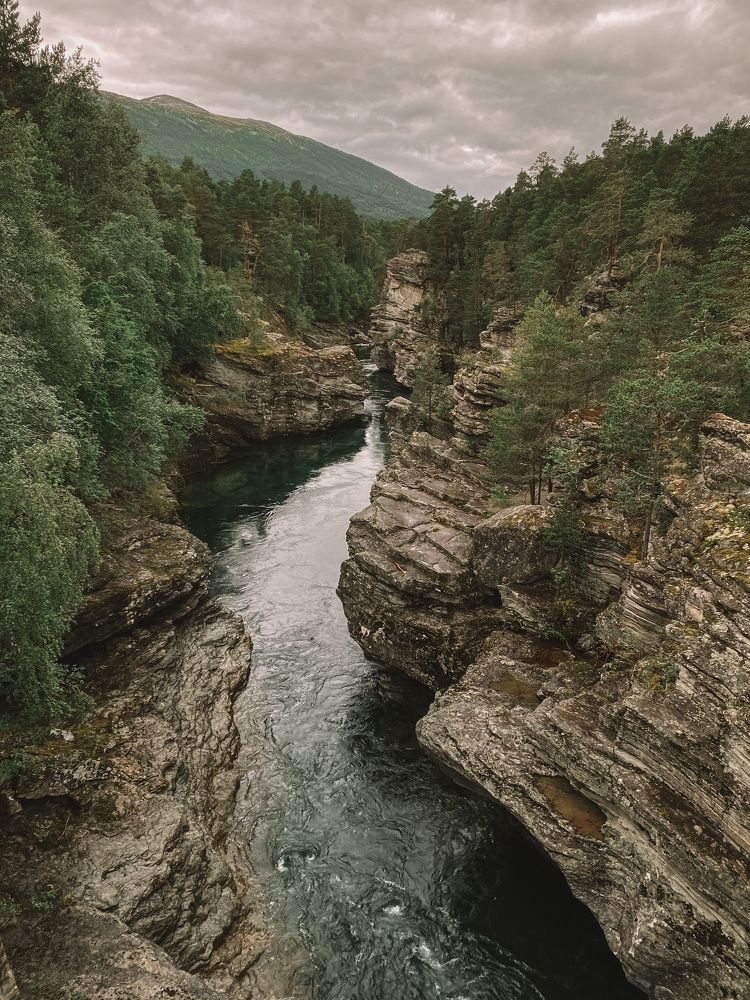 Photograph by Наталья Посашко