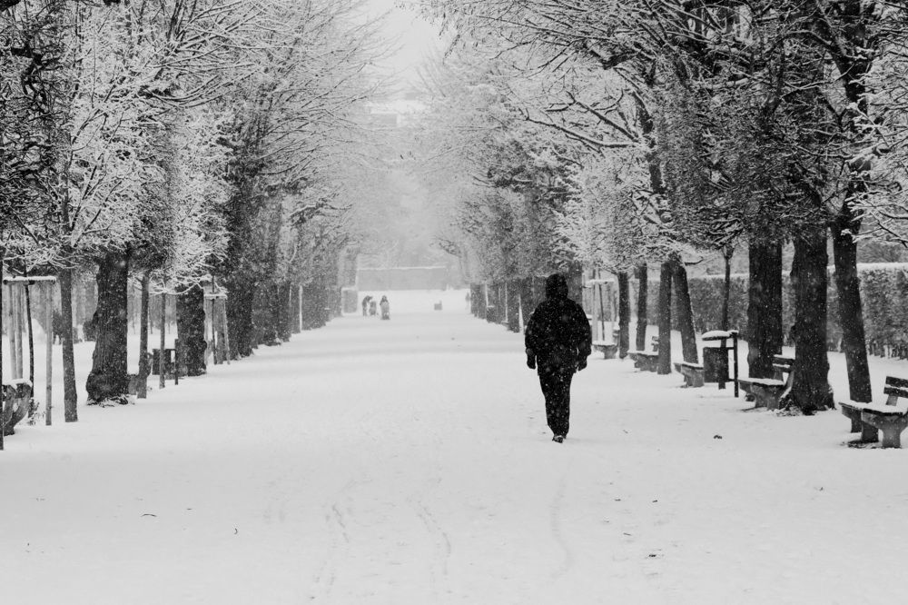 Фотография автора Safet Hasanoski