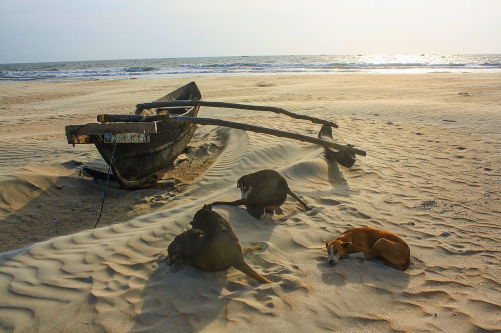 Фотография автора ИГОРЬ МЕЛЬНИКОВ