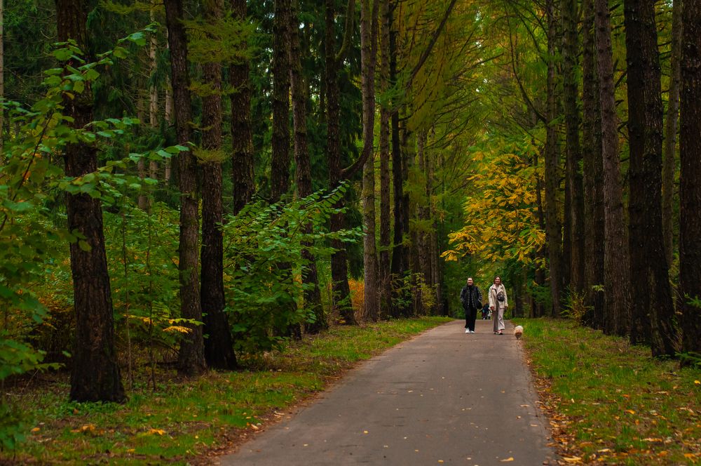 Photograph by Никита