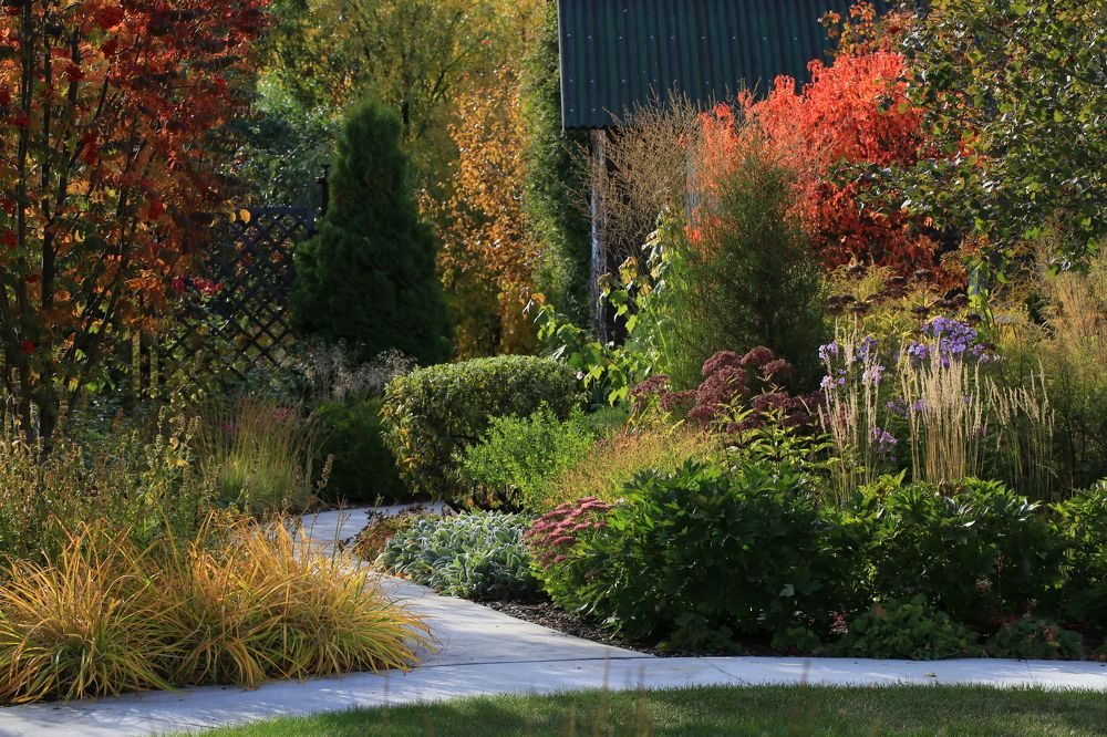 Photograph by Владимир Мальчихин