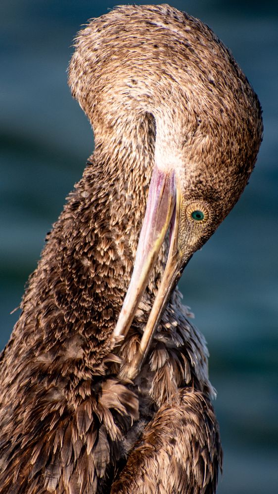 Photograph by Muhammad Hamid