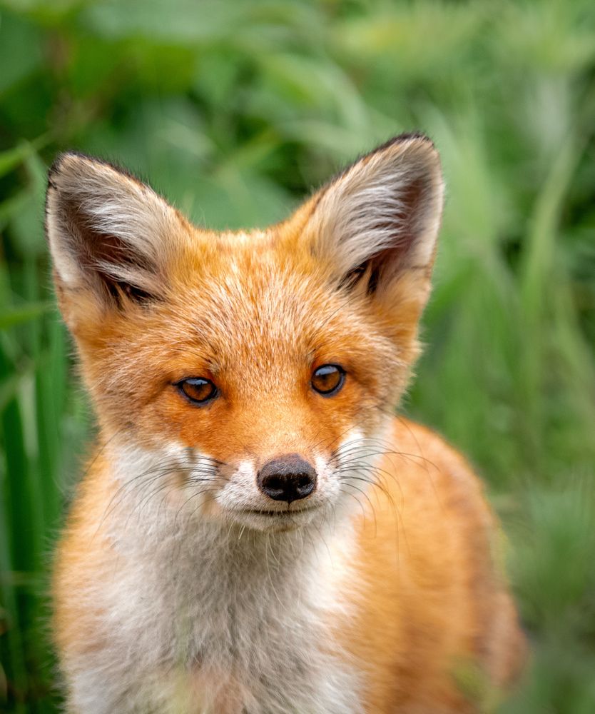 Photograph by Анастасия Мотовилова