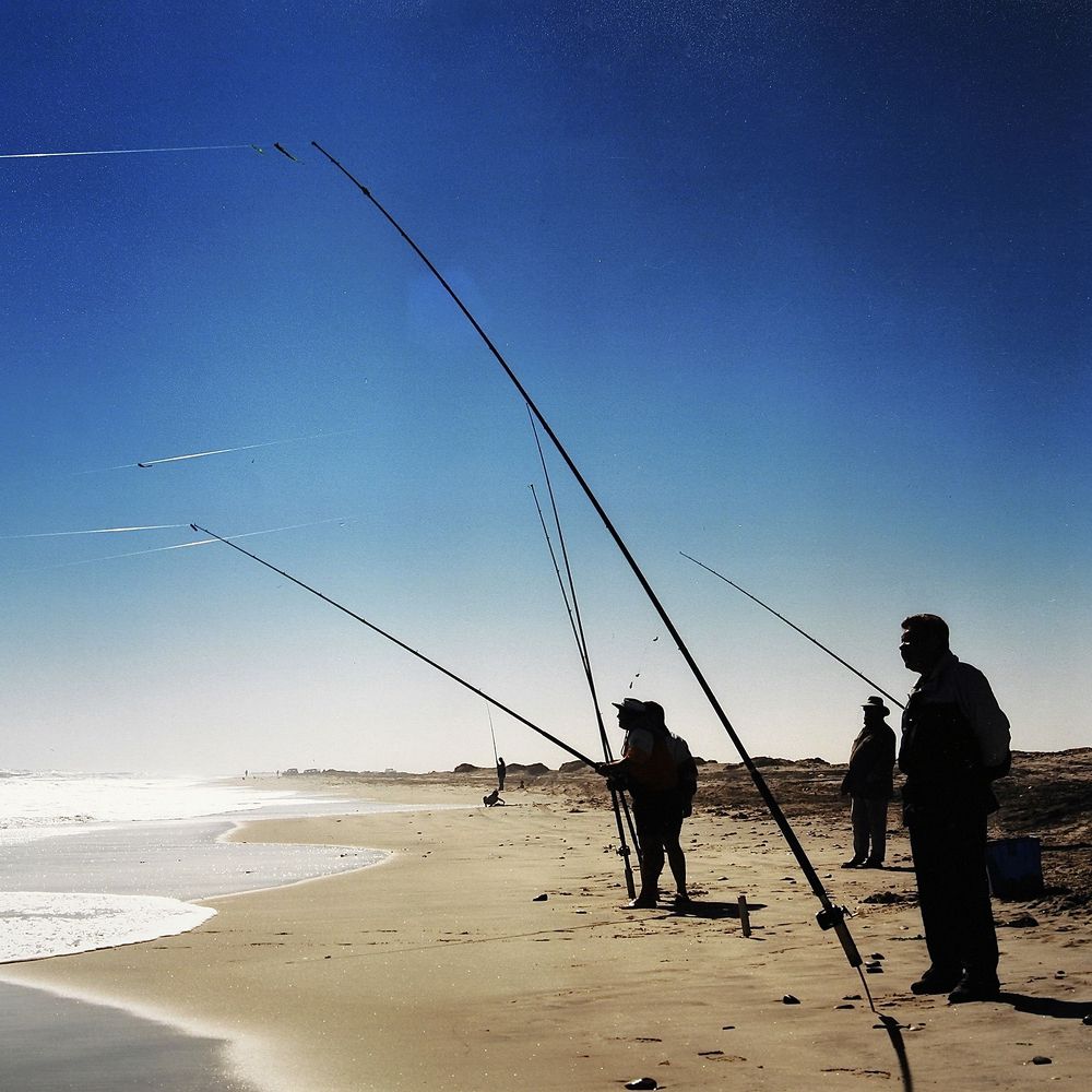 Photograph by Михаил Копанс