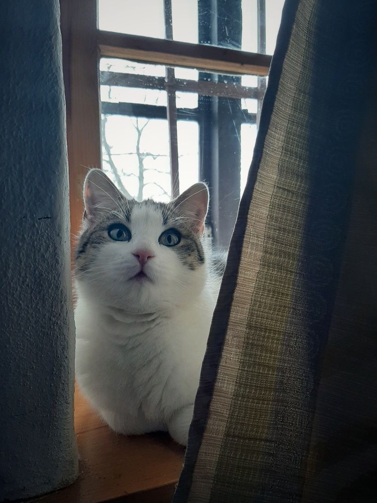 Photograph by Юлия Минькова
