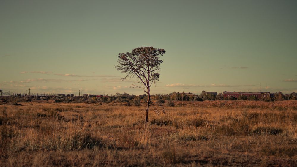 Photograph by Даниил Щербаков