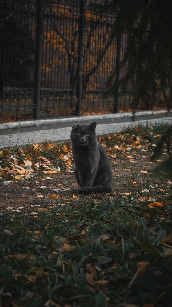 Photograph by Даниил Щербаков