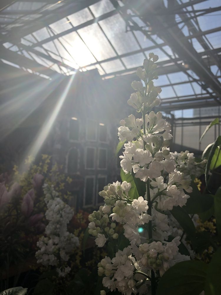 Photograph by Ольга Шуть