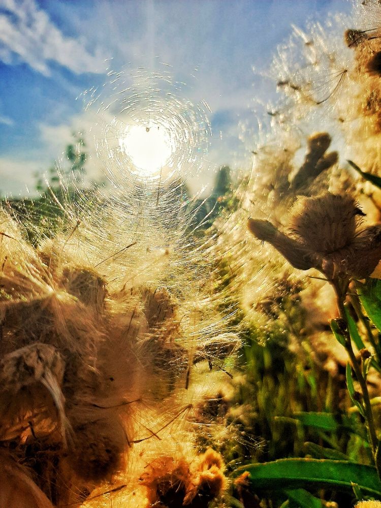 Photograph by Ксения Цветкова