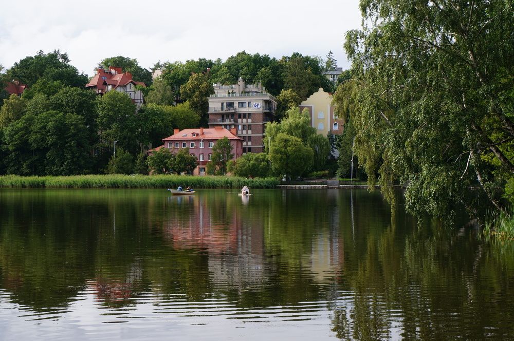 Photograph by Алёна Савина