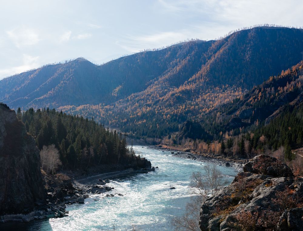 Photograph by Денис Карачёв