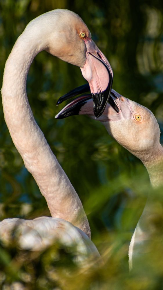 Photograph by Muhammad Hamid