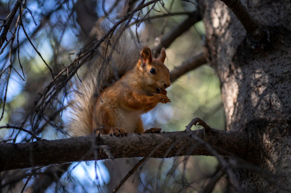 Photograph by Оксана Антипова