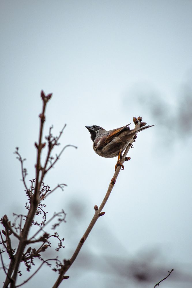 Photograph by Бекежан Мұхаметжанов