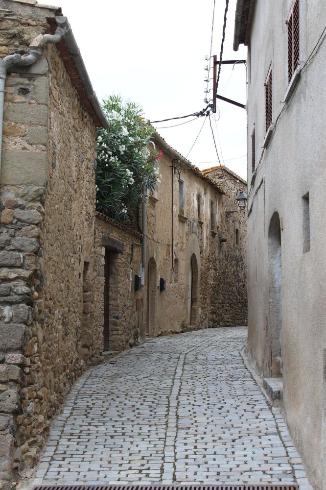 Photograph by Сагдиева Эльвира