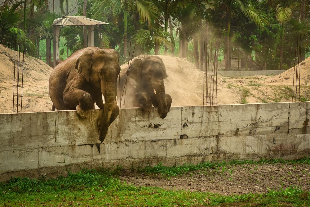 Photograph by Partha Chakraborty