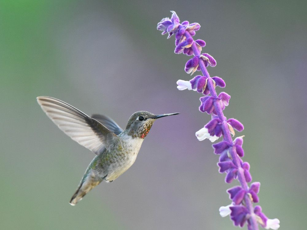 Photograph by Antara Chakravarty