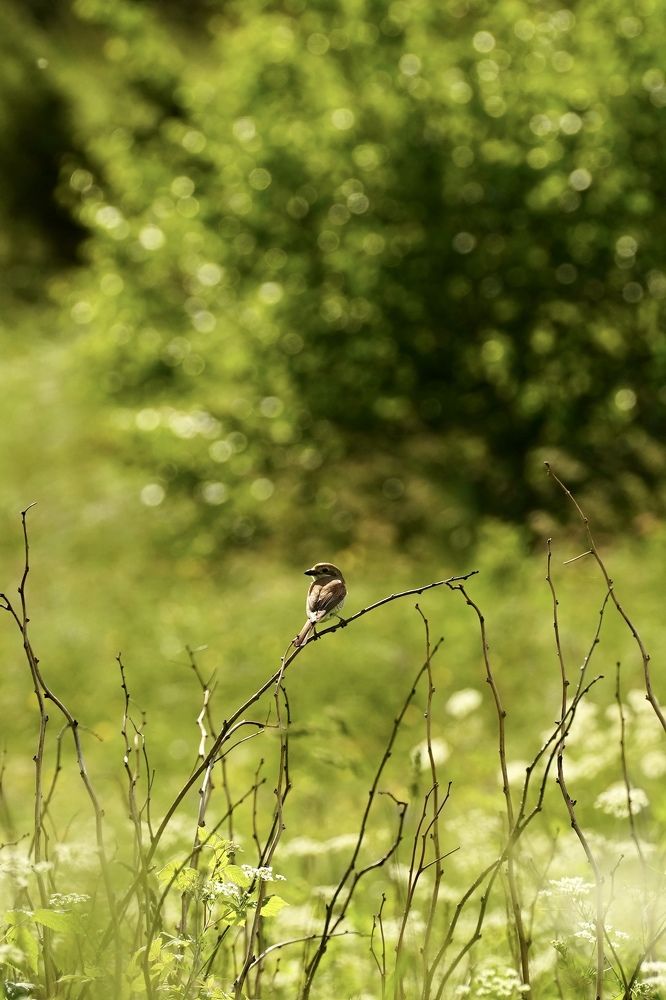 Photograph by Анжелика Гладких