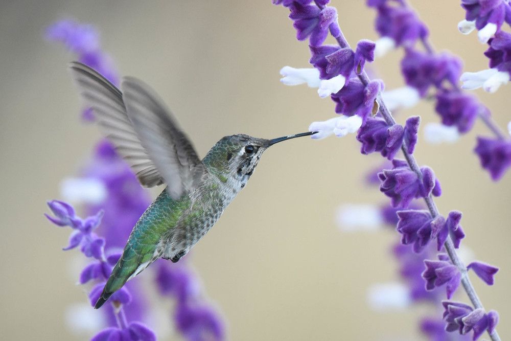 Photograph by Antara Chakravarty