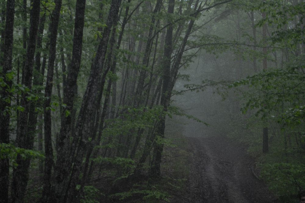 Photograph by Алёна Степанюк