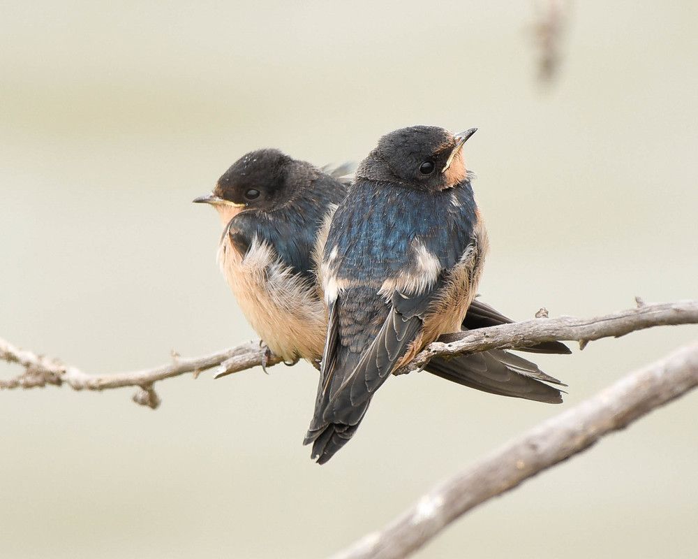 Photograph by Antara Chakravarty