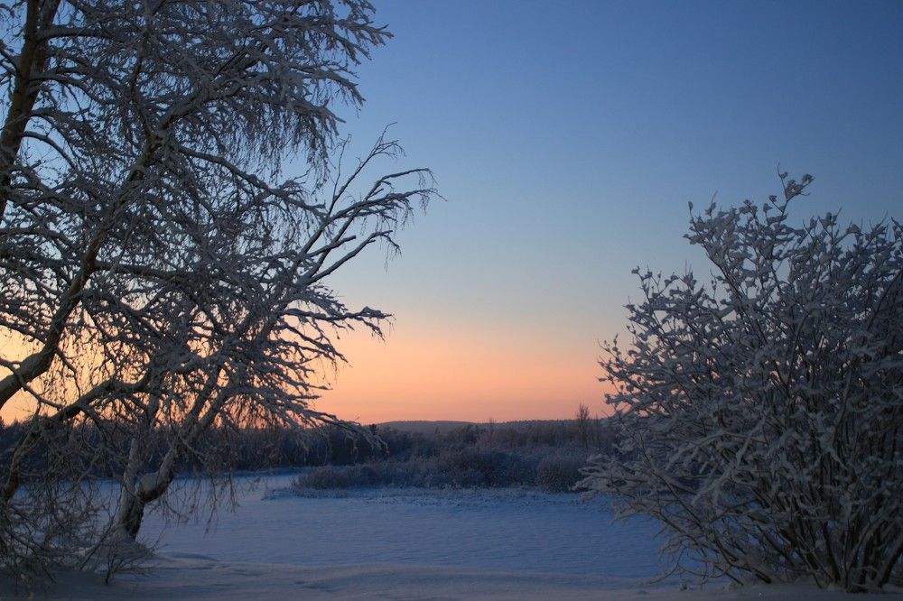 Фотография автора Светлана Овчинникова(Терехова)