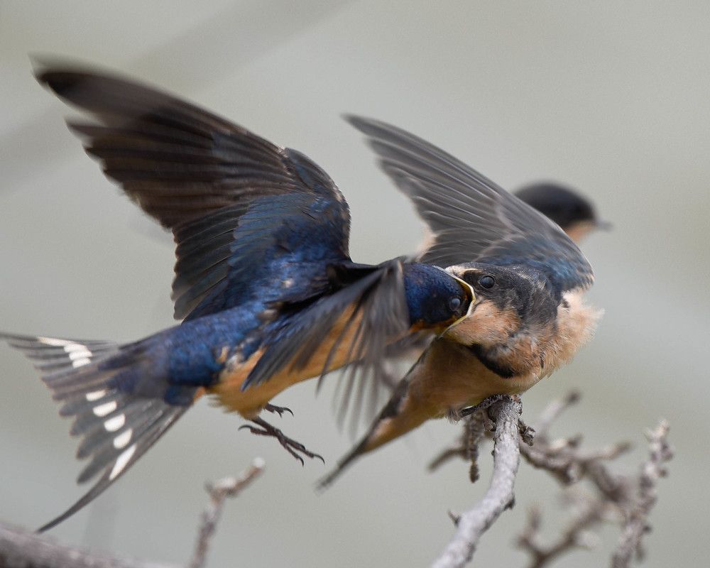 Photograph by Antara Chakravarty