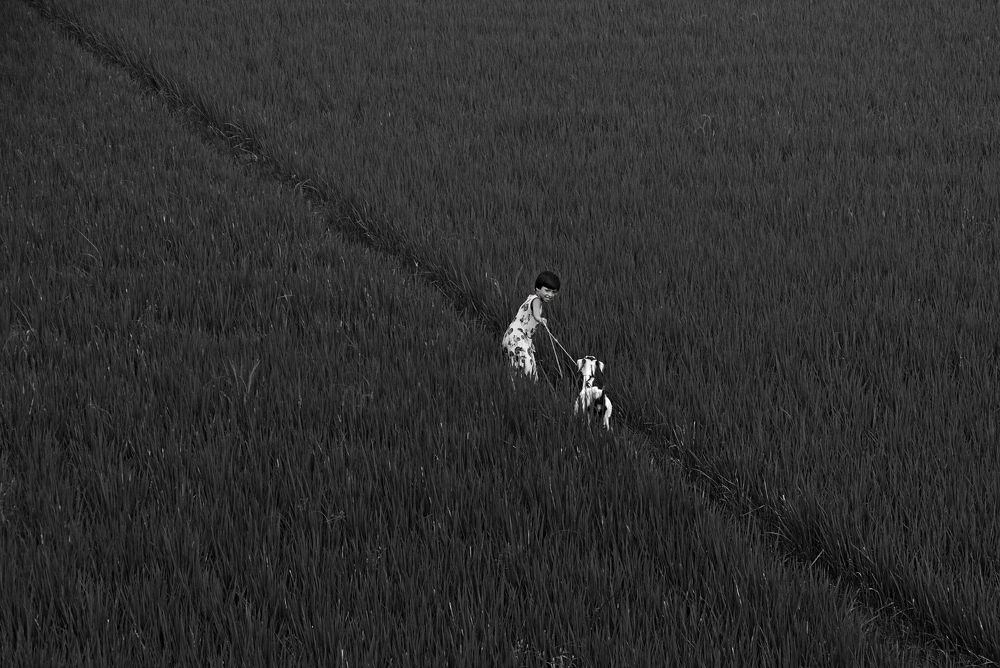 Photograph by CHINMOY BISWAS