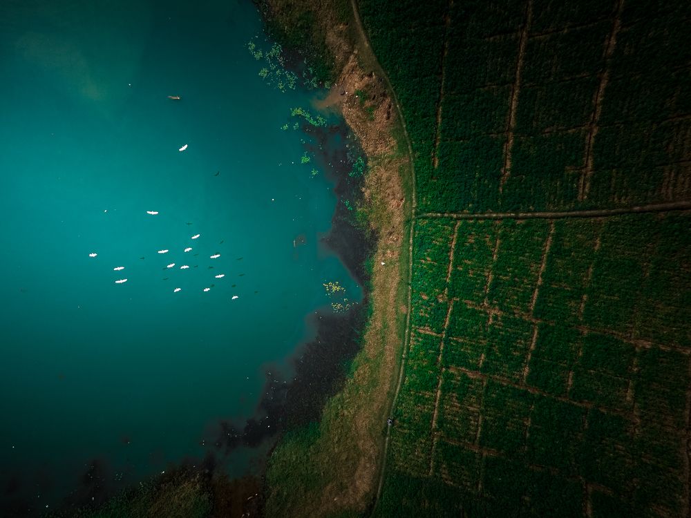 Photograph by Anirban Pan